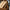 WW | Eleganter Und Lockerer Samtpullover
