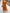 WW | stilvolles und elegantes Chiffonkleid mit V-Ausschnitt