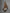 WW | Zeitlos Bare Back Kleid Camisole Kleid
