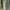 WW | Modische elegante Hose mit weitem Bein