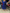WW | Stilvolles Kleid Mit Feiner Spitzenverzierung