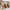 WW | Unisex Leder Boston Sandalen: Stil und Qualität in einem