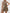 WW | Neck Button Down Weste Und Shorts Satz