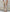 WW | Stilvolle Sommerhose