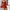 WW | Damenmode Elegantes Slim-fit Langarm Rüschenkleid