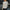 WW | Stilvolle Glitzer Jacke Damen