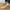 WW | Stilvolle Schuhe