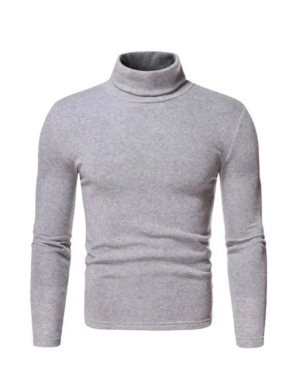 WW | Pullover Rollkragen Herren Pullover