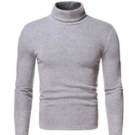 WW | Pullover Rollkragen Herren Pullover