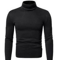 WW | Pullover Rollkragen Herren Pullover