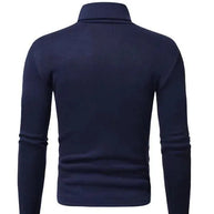 WW | Pullover Rollkragen Herren Pullover