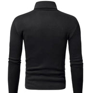 WW | Pullover Rollkragen Herren Pullover