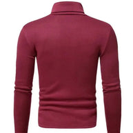 WW | Pullover Rollkragen Herren Pullover