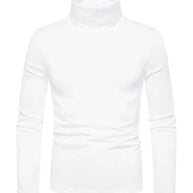 WW | Pullover Rollkragen Herren Pullover