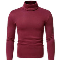 WW | Pullover Rollkragen Herren Pullover