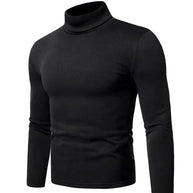 WW | Pullover Rollkragen Herren Pullover