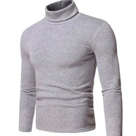 WW | Pullover Rollkragen Herren Pullover