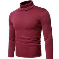 WW | Pullover Rollkragen Herren Pullover