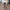 Verboten Flare Hose