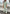 WW | Elegantes Trendiges Satz Mit Schwarzem Wirbelmuster Hosenshirt