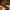 WW | Herren Freizeit Sneaker
