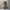 WW | Stilvolles Kimonokleid Im Boho-Stil