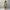WW | Stilvolle Kimono Olivgrün
