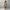 WW | Stilvolles Kimono Olivgrün