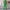 WW | Stylisches Set aus Leinen