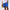 WW | Herren Strandshort Mit Grafischem Design Von Kokosnussbaum