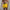 WW | Badehose Schnell Trocknende Badeshorts Mit Modernem Design