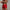 WW | Badehose Schnell Trocknende Badeshorts Mit Modernem Design