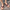 WW | Herren Flip Flops Bequeme