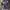 WW | Herren Kurzarm Poloshirt Bedrucken
