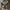 WW | Herren Kurzarm Poloshirt Bedrucken