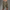 WW | Herren Lässige Cargo Shorts