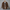 WW | Herren Langarm Hemd Grau
