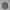 WW | Herren Langarm Hemd Grau