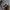 WW | Clogs Herren Schwarz