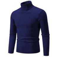 WW | Herren Rollkragen Pullover Kurz