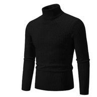 WW | Herren Rollkragen Pullover Kurz