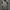 WW | Herren Leichte Windbreaker Lange Jacke