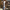 WW | Herren Schwarzer Trenchcoat Lange Jacke