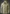 WW | Herren Wasserdicht Regenjacke Atmungsaktiv