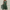 WW | Hochzeitsgast Kleid Elegante Midi