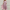 WW | Hochzeitsgast Kleid Elegante Midi