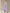 WW | Zeitloses Damenkleid