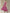 WW | Zeitloses Damenkleid