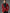 WW | Blazer Jacke Für Männer