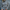 WW | Übergroßer Rollkragenstrickpullover für Frauen